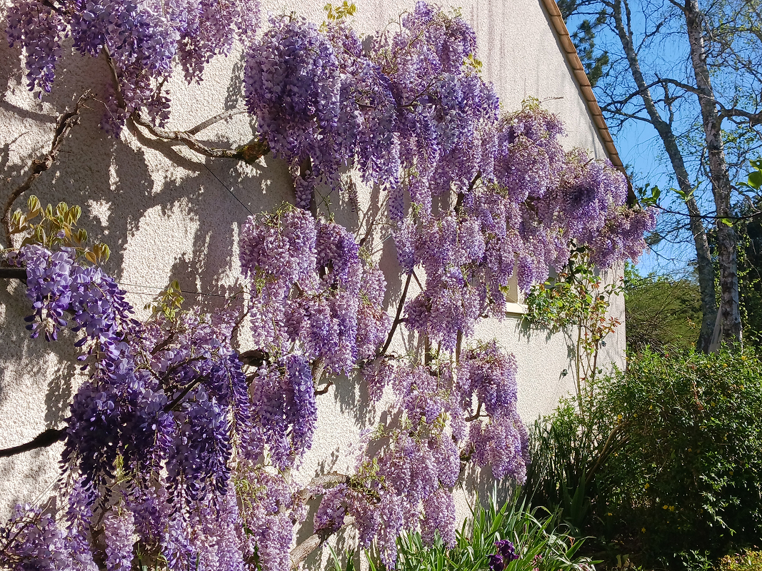 Kle Paysage Et Batiment Paysagiste A Saint Andre De Cubzac Kle Paysage Et Batiment Paysagiste A Saint Andre De Cubzac Realisation 6 2